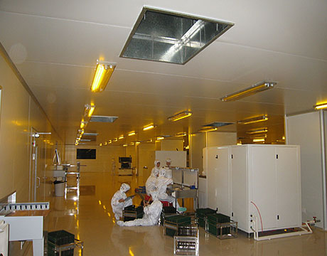 GMP��������