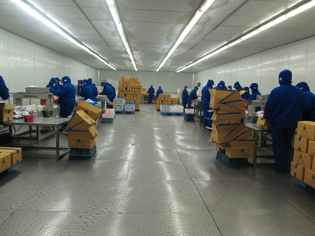 ���ӳ����ྻ��