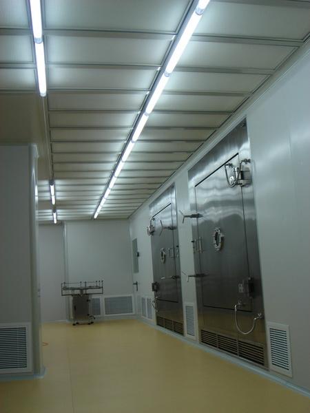 �޳�������